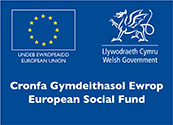 Welsh Government European Social Fund Logo